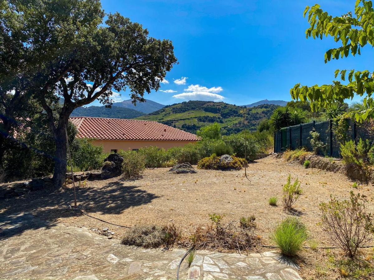 4Amb2 Villa De Caractere Avec Piscine Collective Collioure Exteriér fotografie